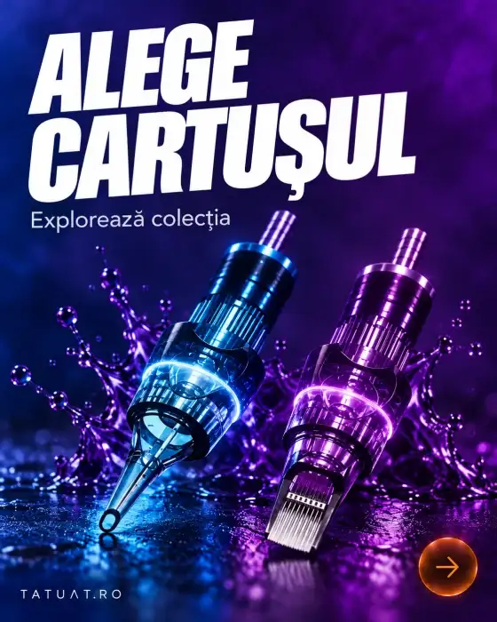 Colecția de cartușe